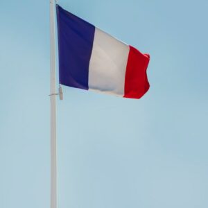a flag on a pole